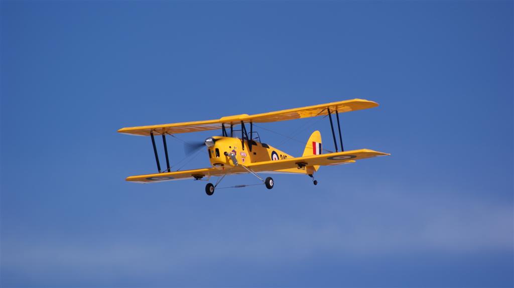 Tiger Moth.JPG