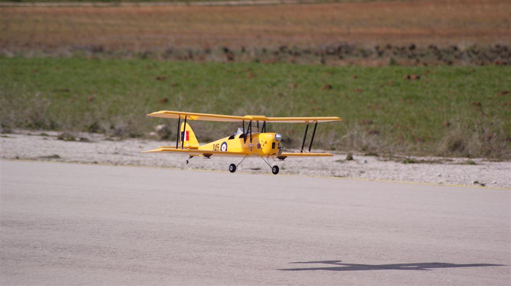 Tiger Moth (2).JPG