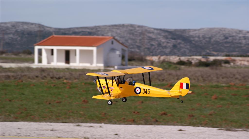 Tiger Moth (1).JPG