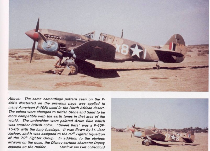 P-40E 79th FG Africa.jpg