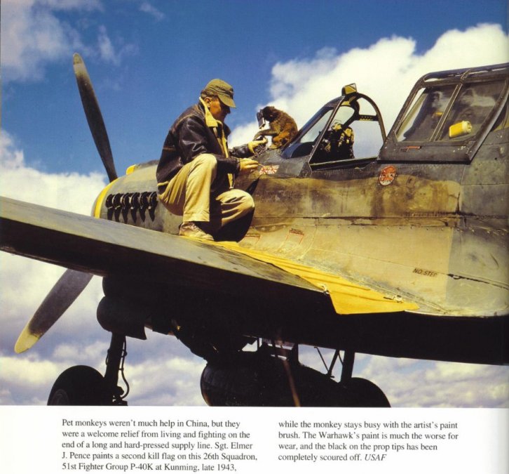 P40K Elmer Pence, 26th sq, 51 FG, Kunming 1943 scheme.jpg