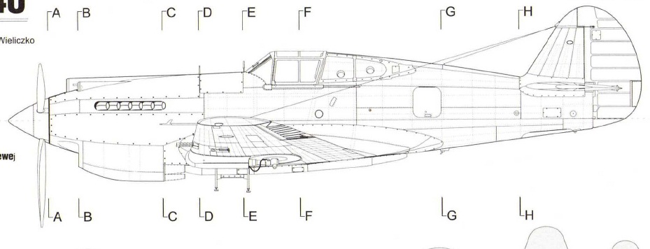 P-40C port view.jpg