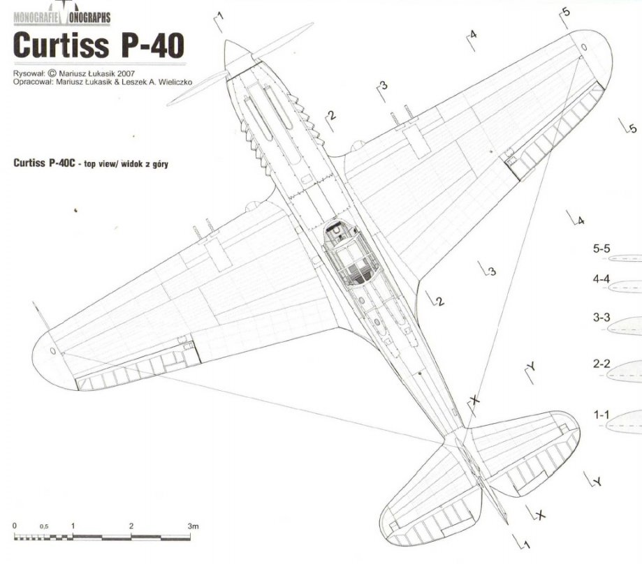 P-40C top view.jpg