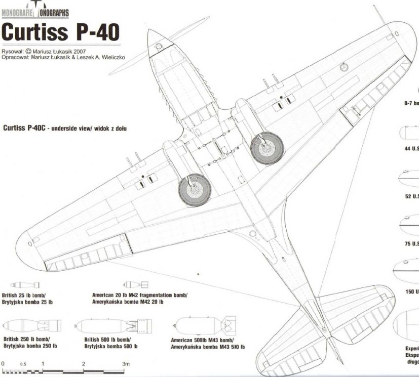 P-40C bottom view.jpg