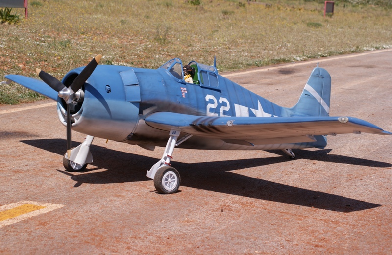 F6f ZIROLI 2.5m.JPG