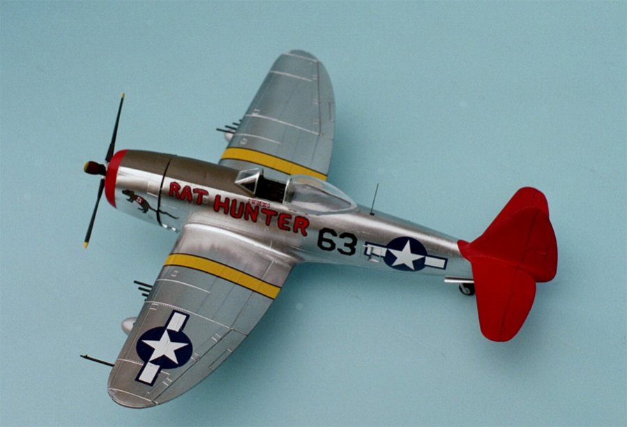 p-47__6_.jpg