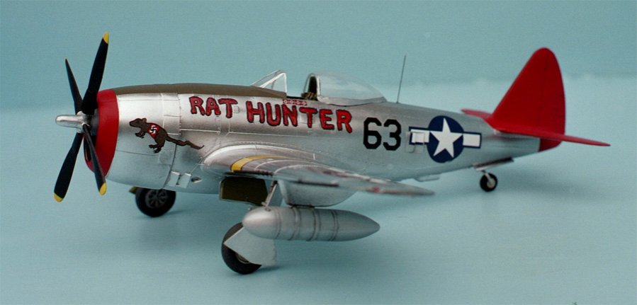 p-47__8_.jpg