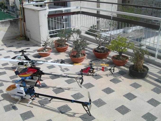 zachos  bonsai +heli  Athens 027aa.jpg