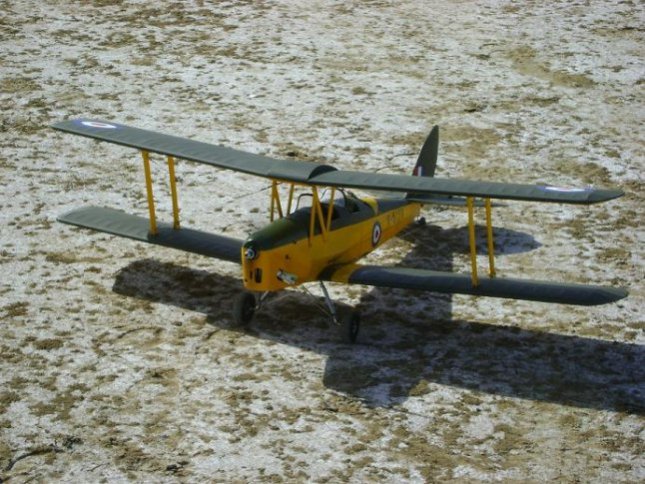 tigermoth2.jpg