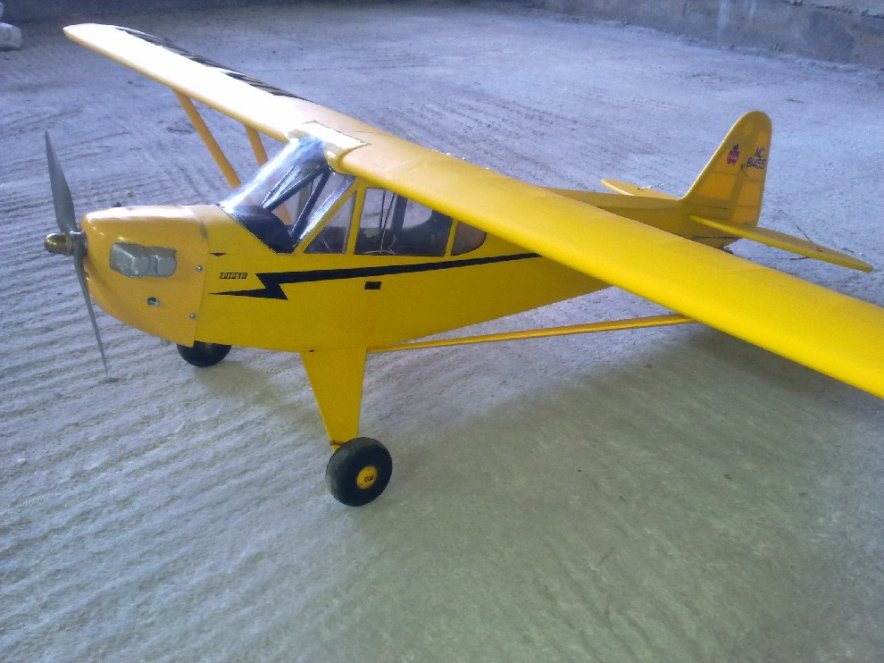 Piper Cub 71.jpg