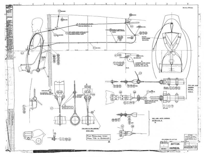 Sutton Harness.jpg