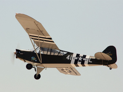 L-4 grasshopper.jpg