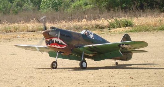 BHM P-40.jpg