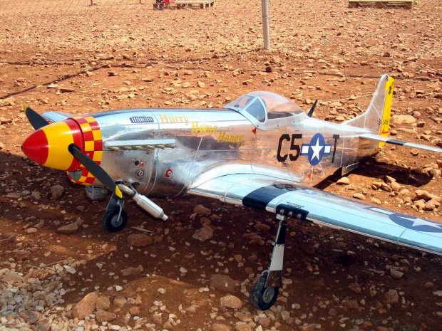 MUSTANG P51 -## (10).jpg