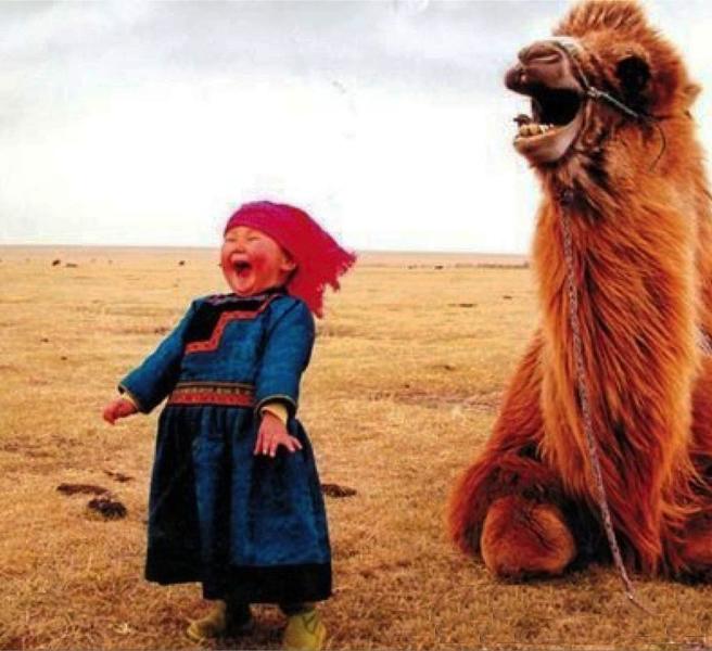 girl-and-laughing-camel-2.jpg