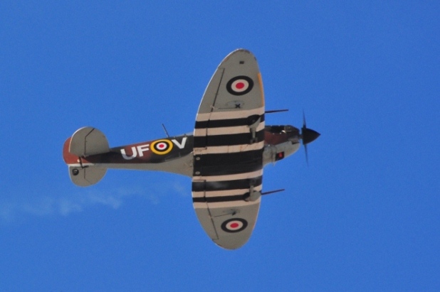 spitfire3.jpg