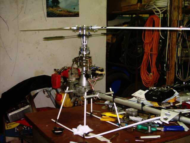 Project_Heli_tithorea (3).jpg