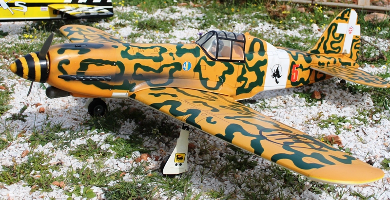 00012 macchi.jpg