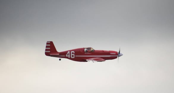 RED 46 2025 3.jpg