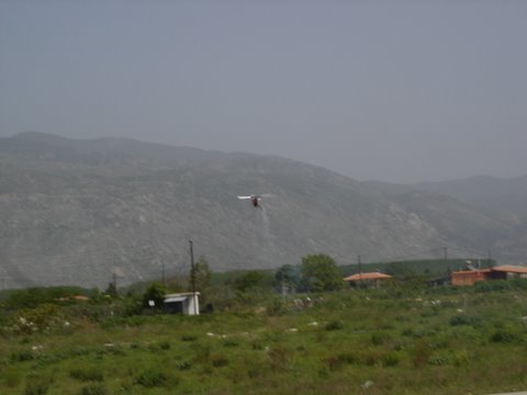 Heli Giannis 3.JPG